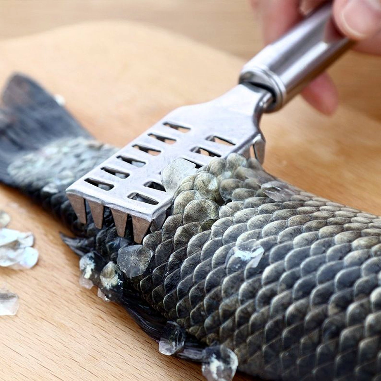 Stainless Steel Fish Scale Scraper