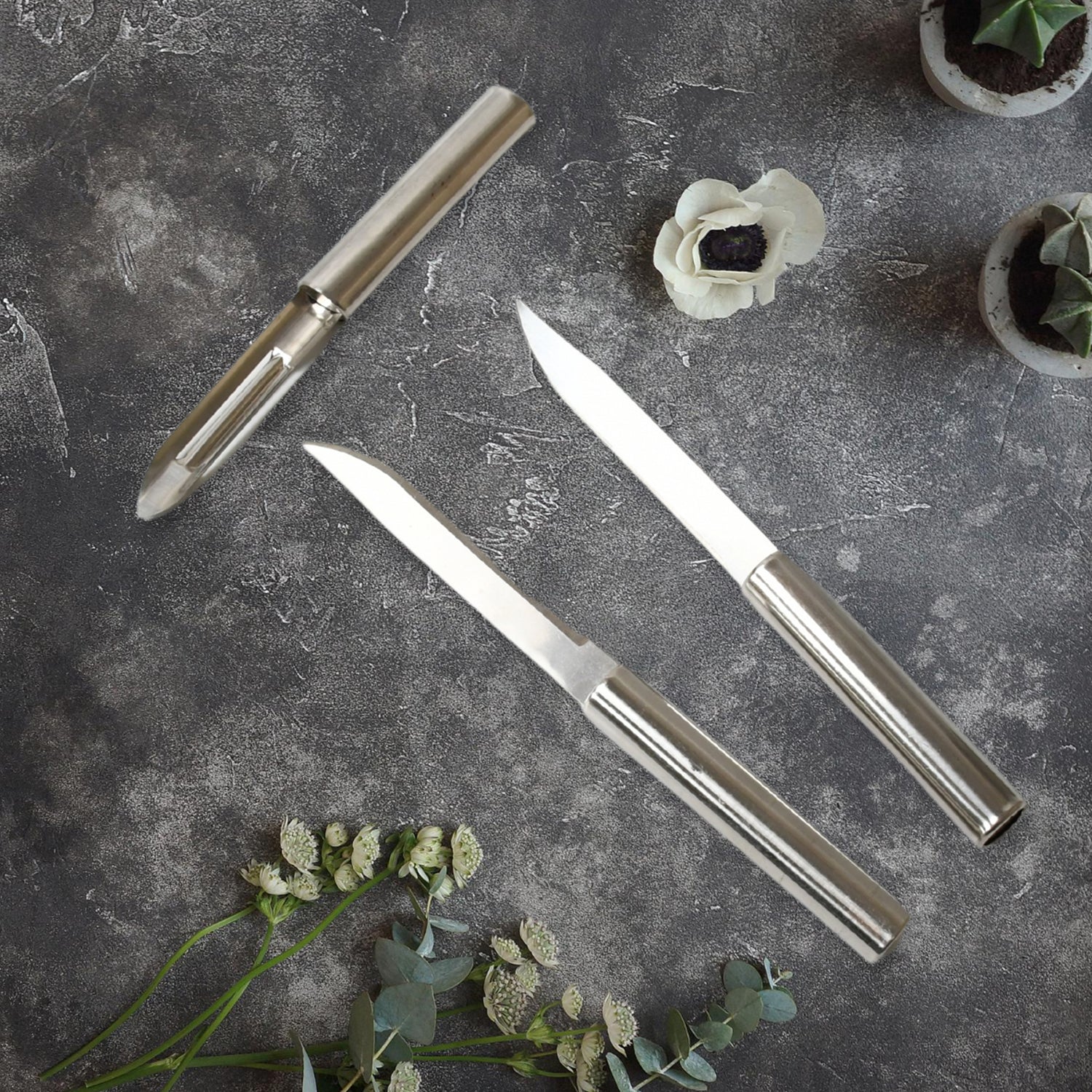 Stainless Steel Knife for Fruit