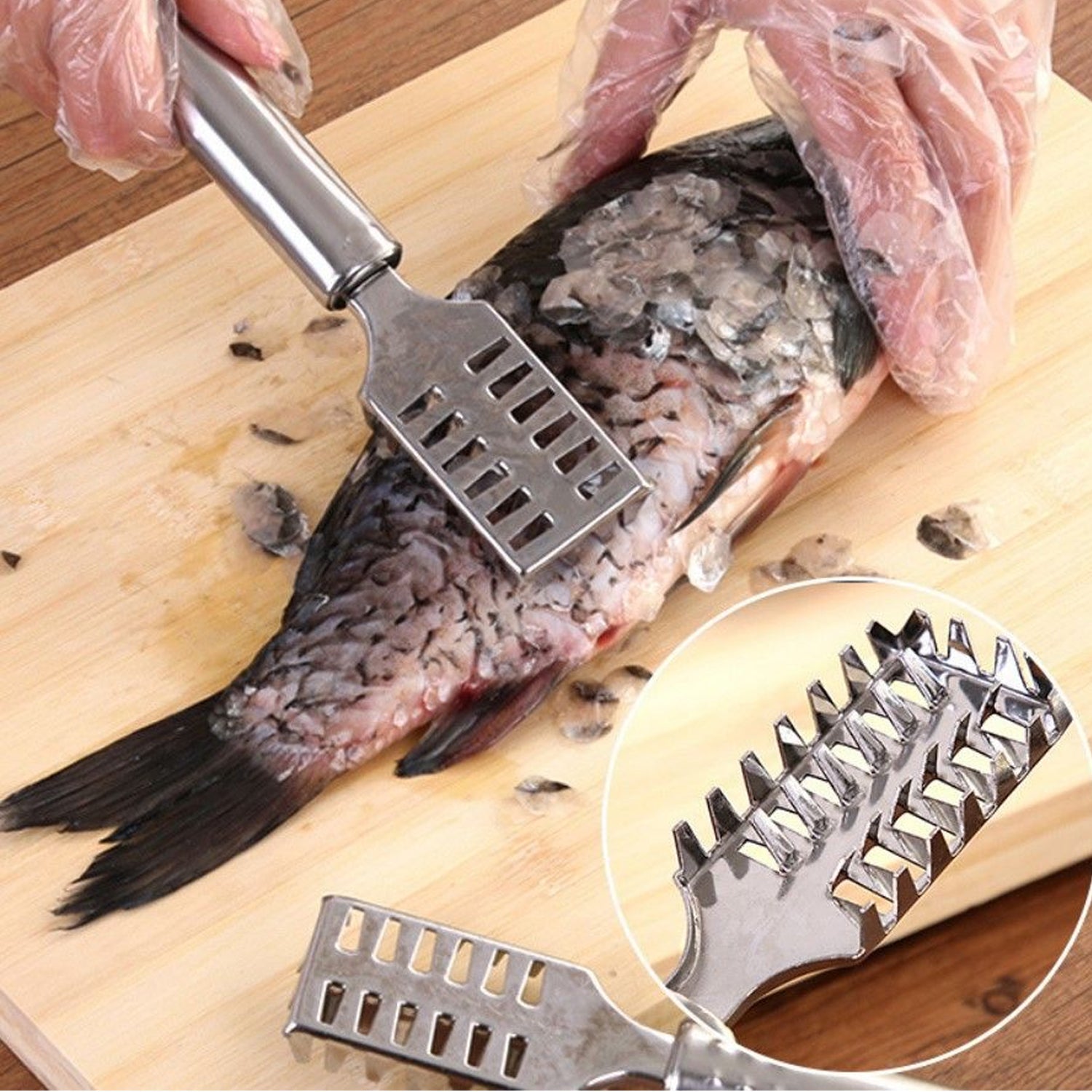 Stainless Steel Fish Scale Scraper