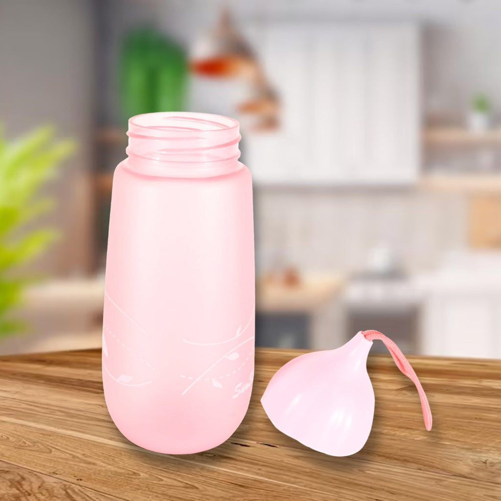 Leakproof BPA-Free Water Bottle - 550ml