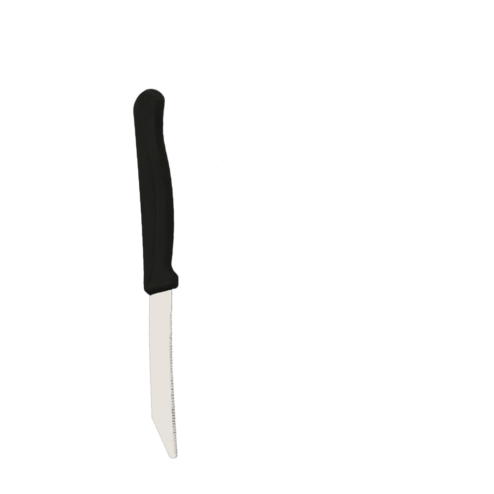 Stainless Steel Knife & Gas Lighter