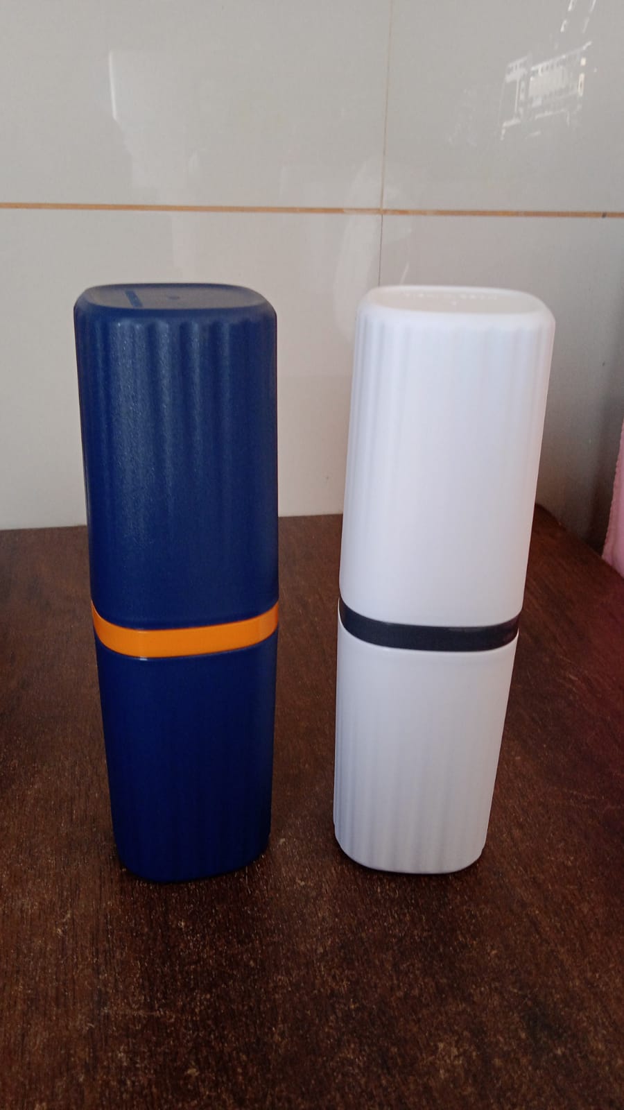 Portable Toothbrush Travel Case