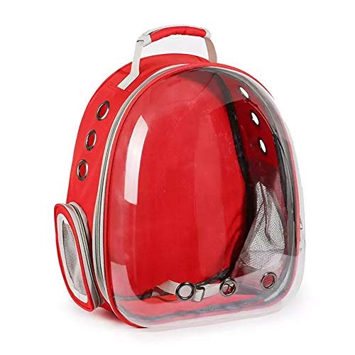 Globe Trotter Travel Pet Bag