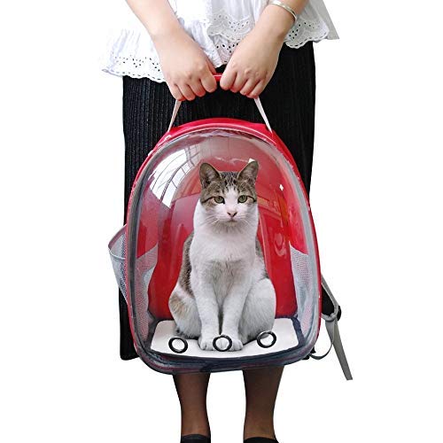Globe Trotter Travel Pet Bag