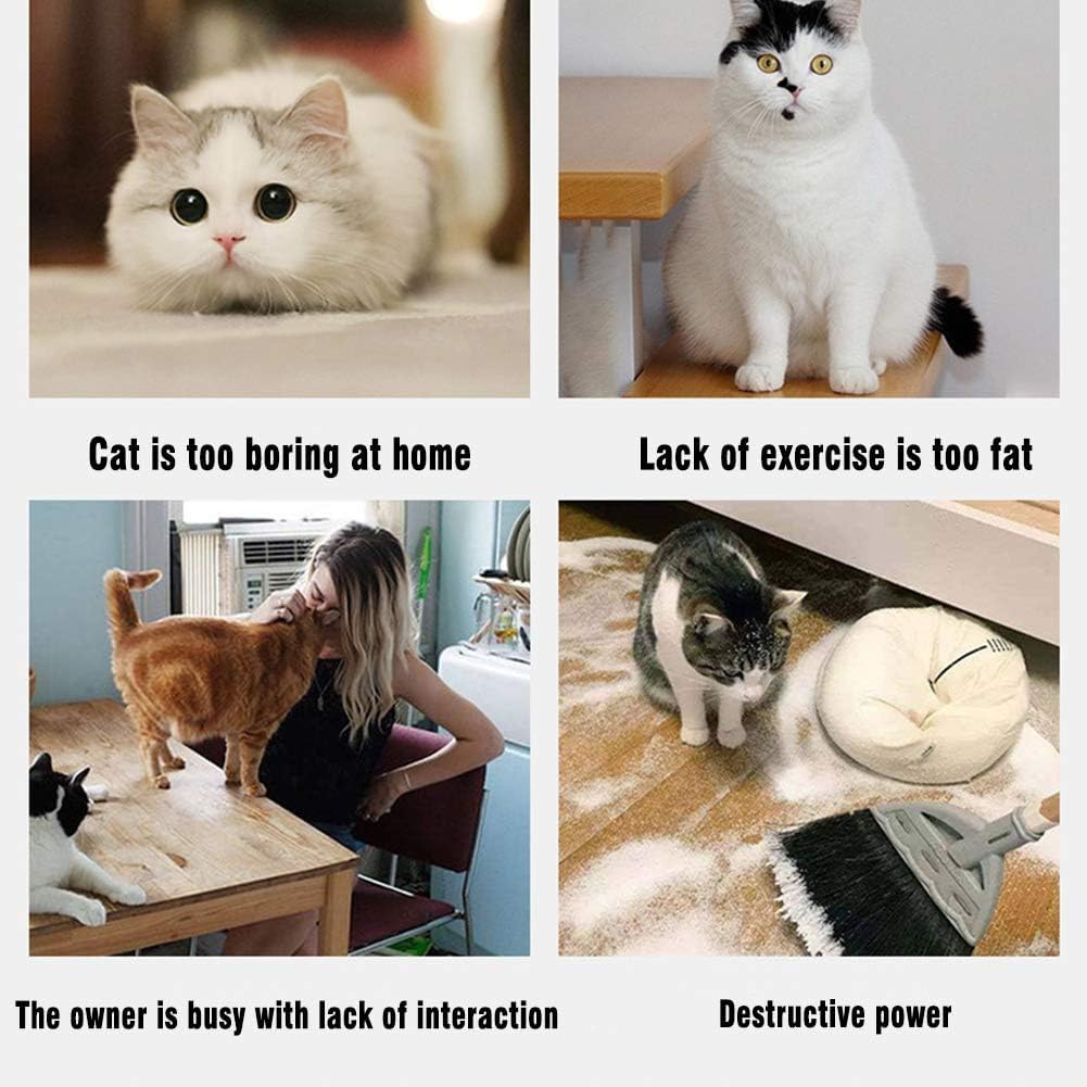 Collapsible 3-Way Cat Tunnel Toy