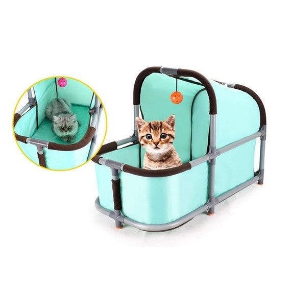 Paw Voyager Bubble Capsule Front-Pack Carrier