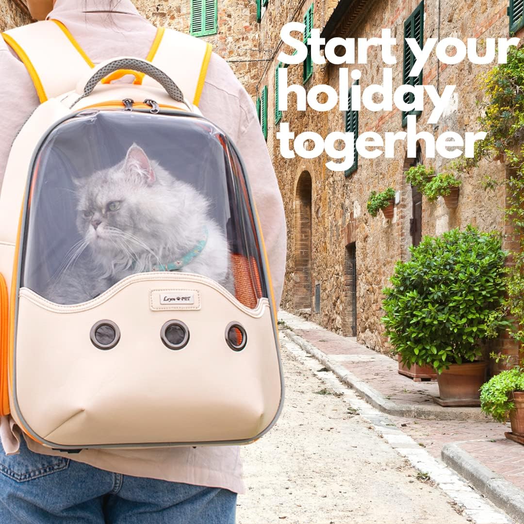 Breathable Transparent Pet Travel Bag