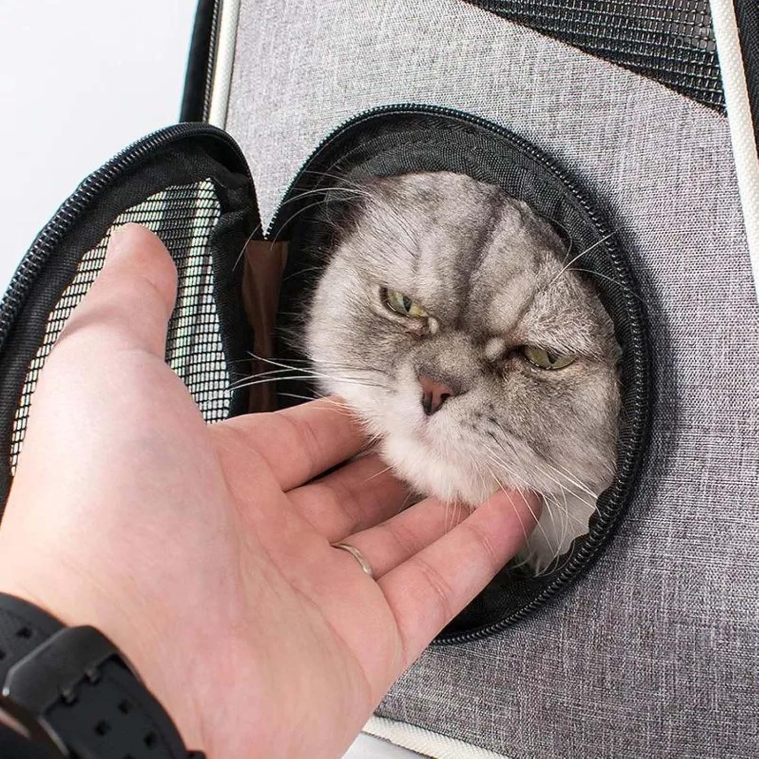 Panora Vent Pet Backpack