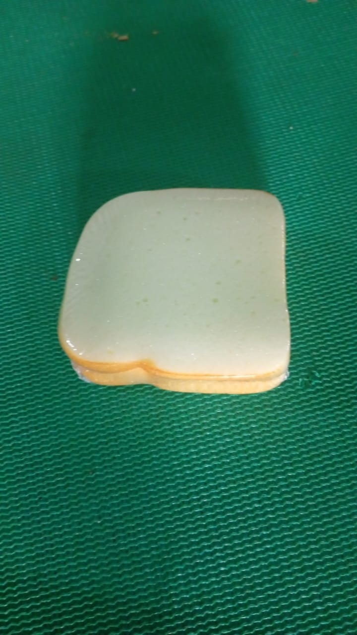 Sandwich-Shaped Multicolor Sticky Notes