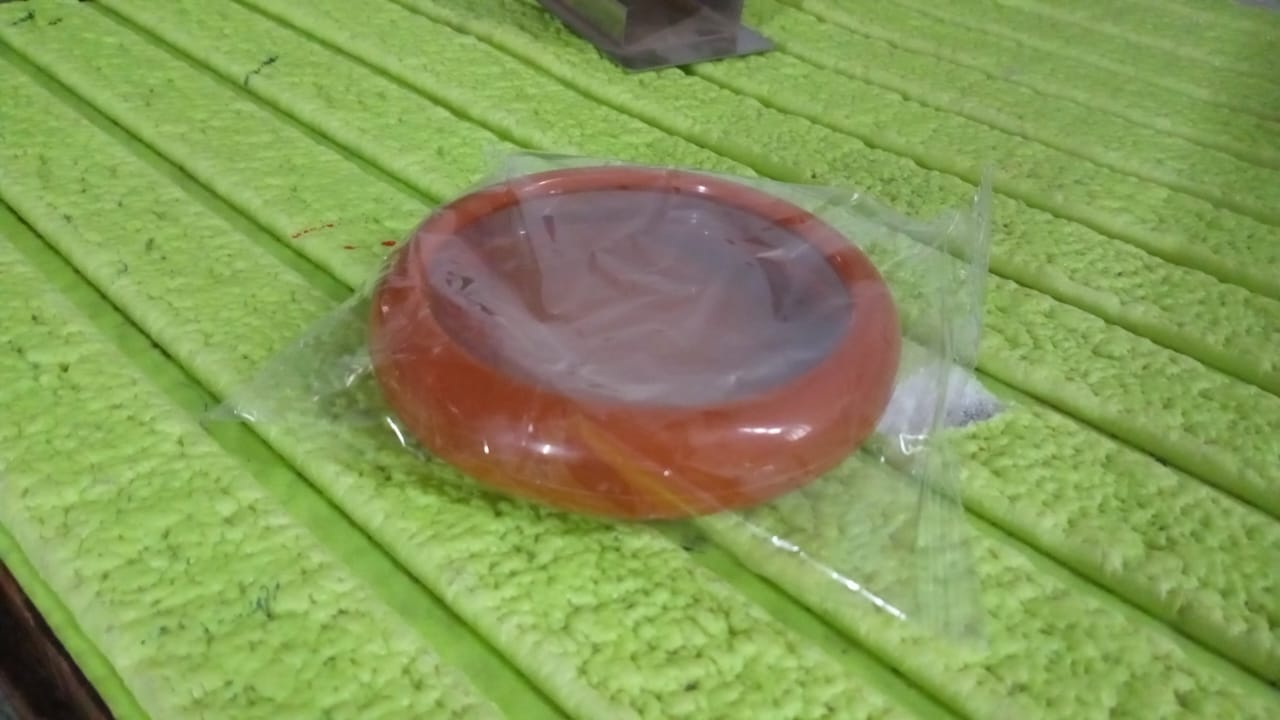 Premium Round Vegetable & Fruit Keeper - Silicone