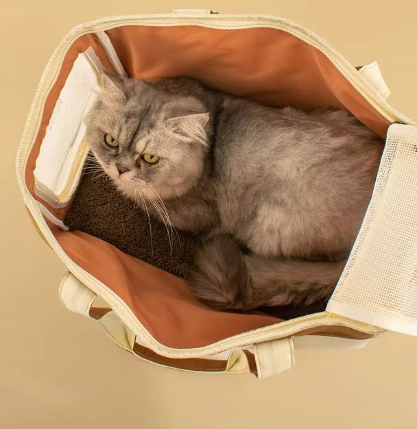 TailFour™ Clear Ease Collapsible Pet Tote - Blue
