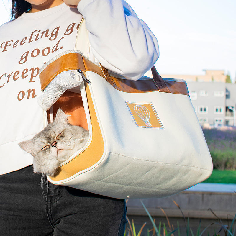 TailFour™ Clear Ease Collapsible Pet Tote - Blue