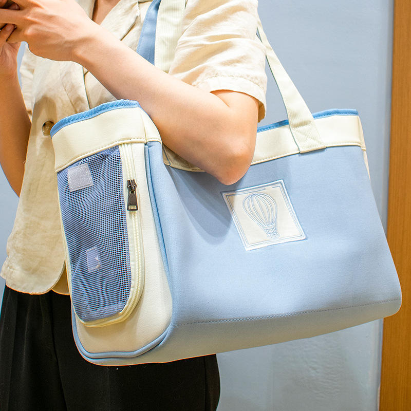 TailFour™ Clear Ease Collapsible Pet Tote - Blue